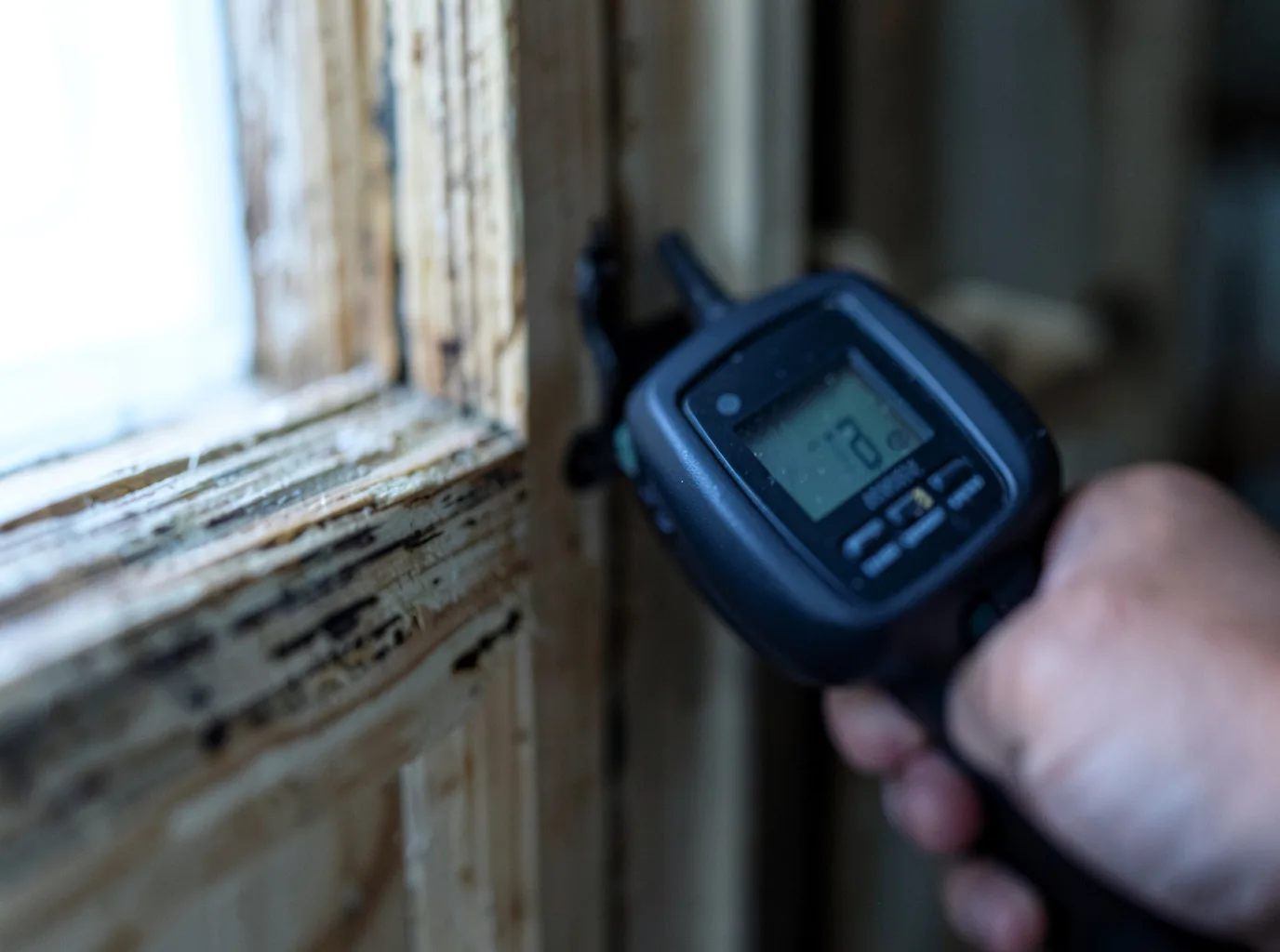 Burst Pipe Water Damage in Willow Beach, AZ